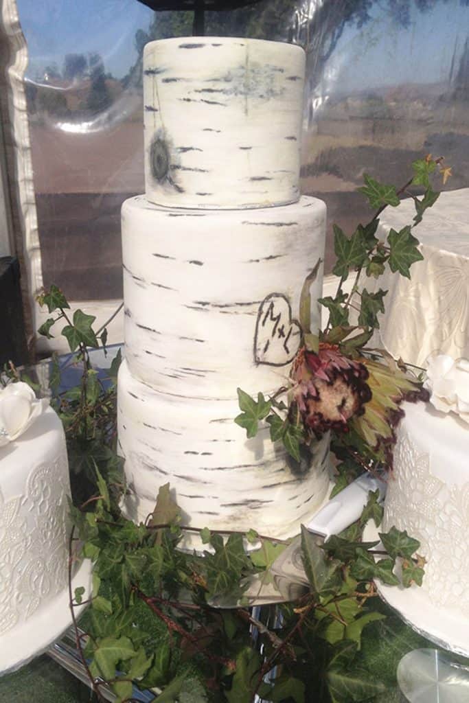 Beautiful birch bark wedding cake in Howick KZN Midlands