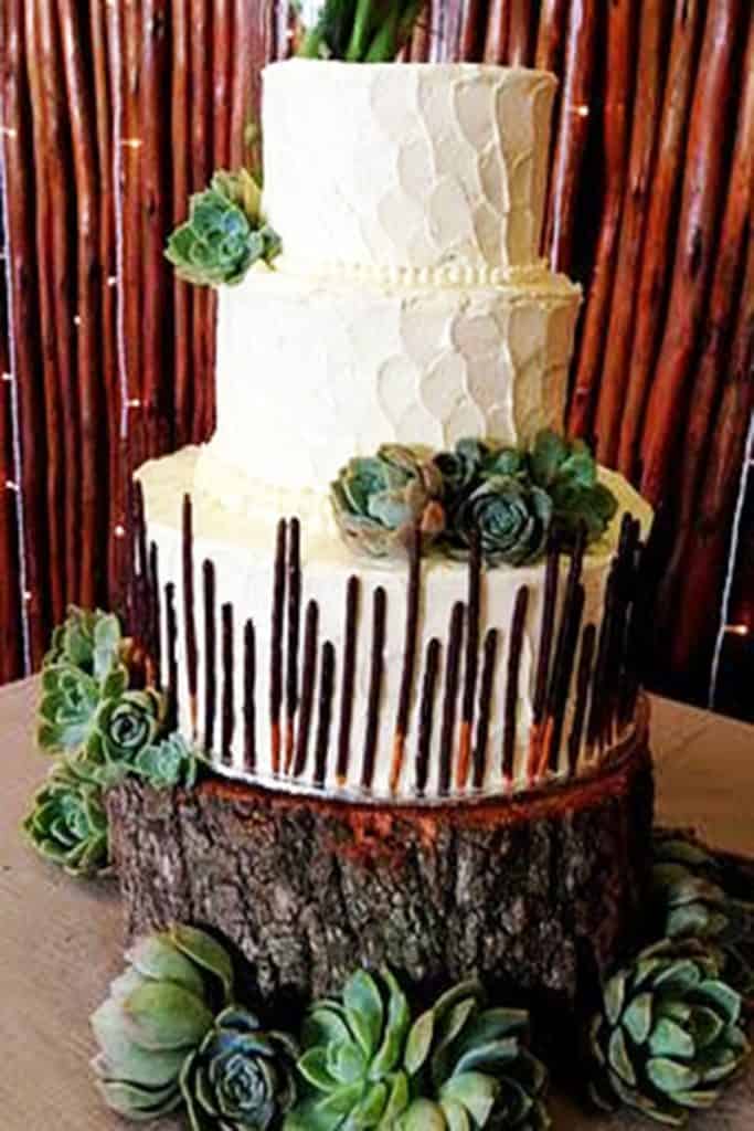 Buttercream wedding cake with succulents by Flour Of Love Wedding Cakes in Howick KZn Midlands